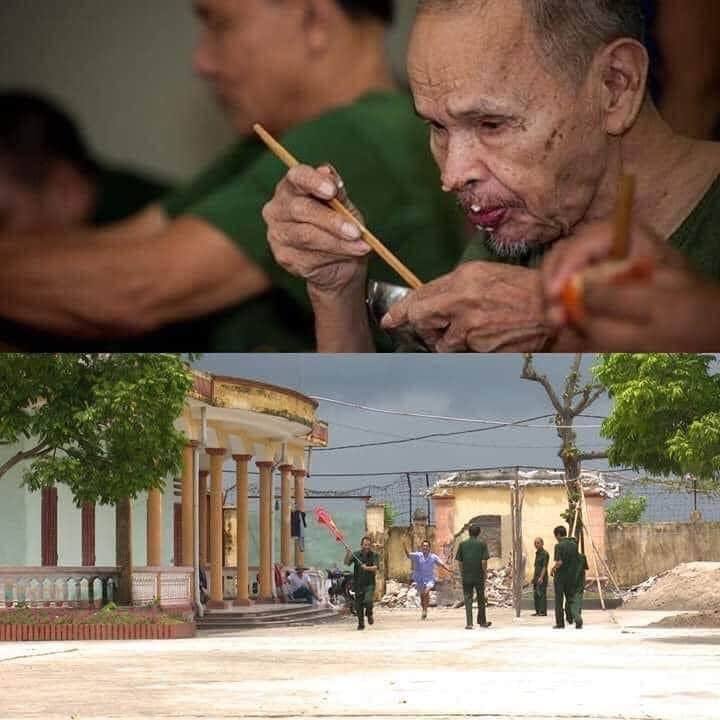 Lịch sử Việt Nam